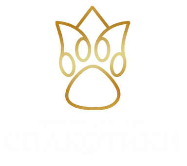 Спакотики